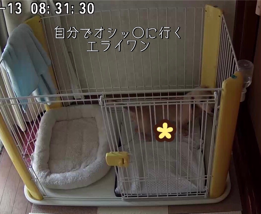 f:id:renkunno:20211213085038j:image