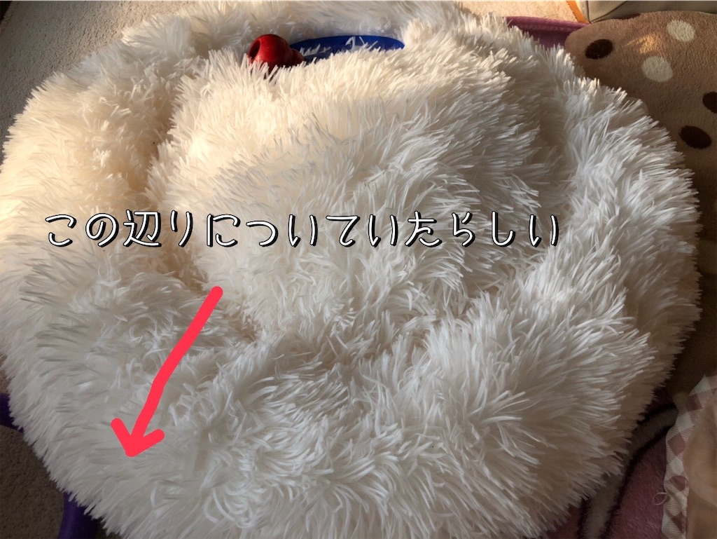 f:id:renkunno:20220104091846j:image f:id:renkunno:20220104091846j:image