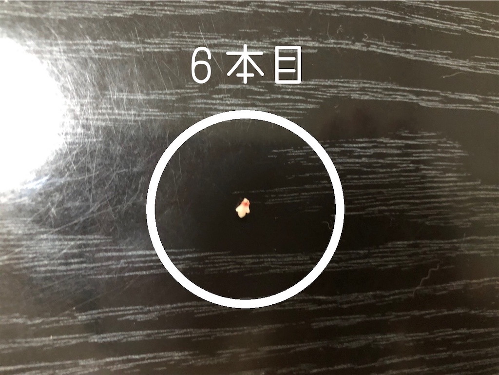 f:id:renkunno:20220104091849j:image f:id:renkunno:20220104091849j:image