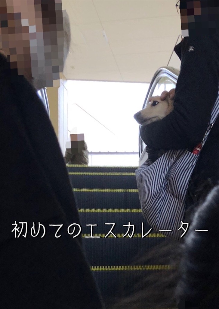 f:id:renkunno:20220106191622j:image f:id:renkunno:20220106191622j:image