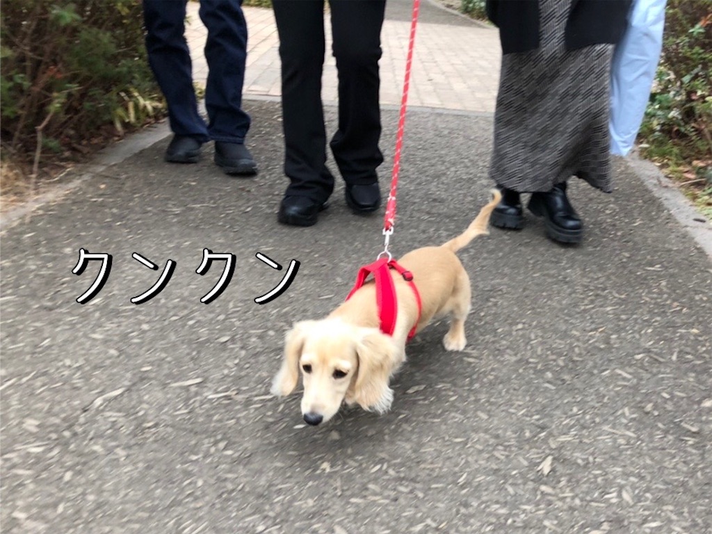 f:id:renkunno:20220106210147j:image f:id:renkunno:20220106210147j:image
