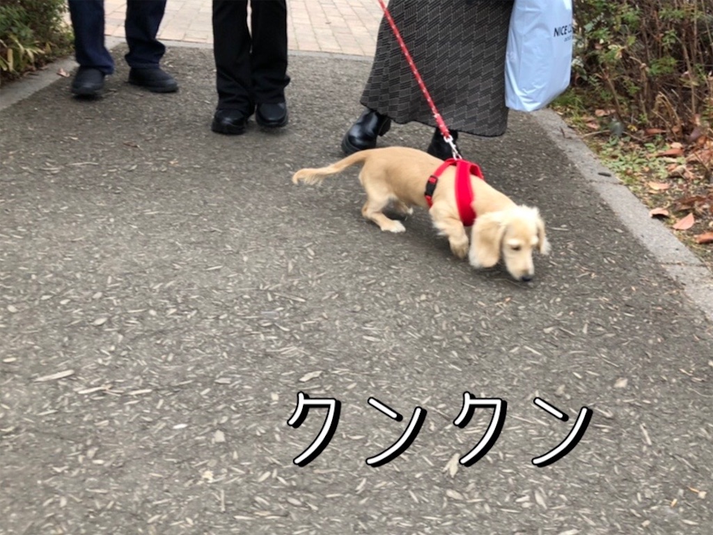 f:id:renkunno:20220106210200j:image f:id:renkunno:20220106210200j:image