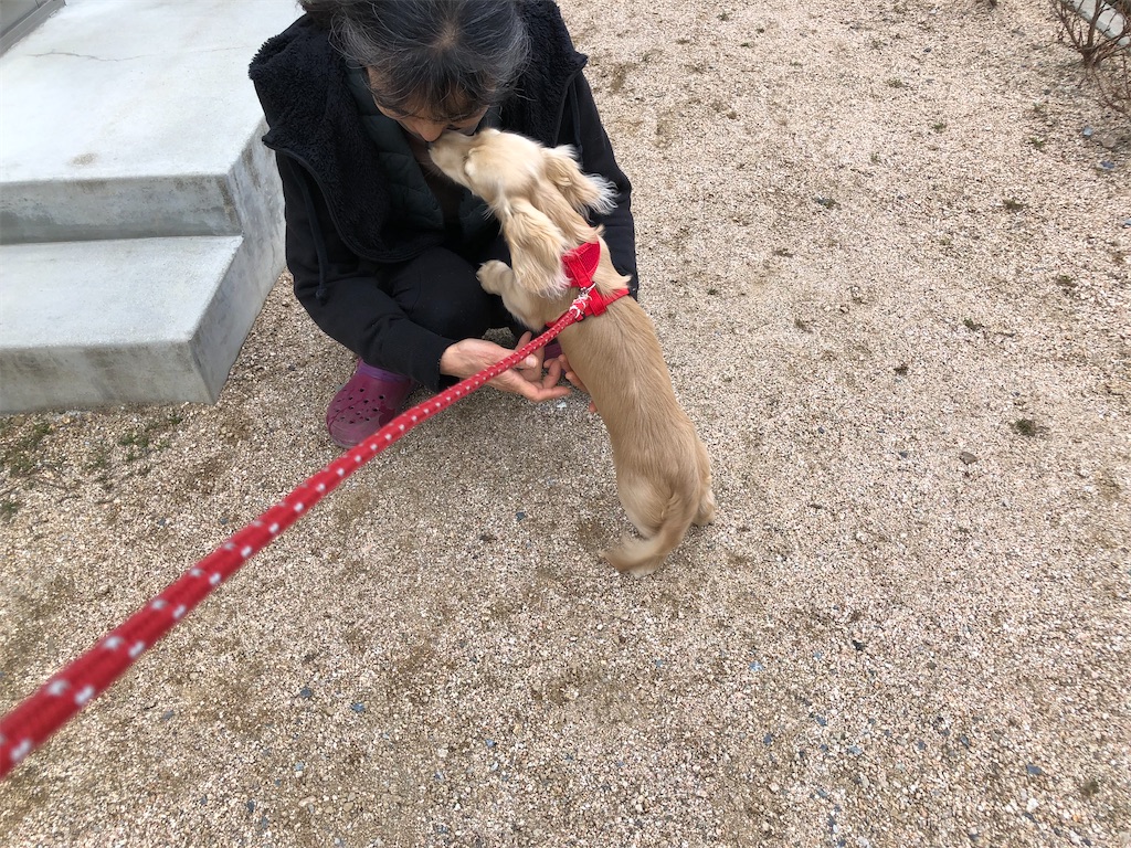 f:id:renkunno:20220119220557j:image