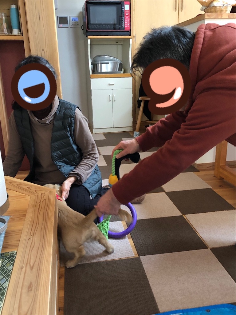 f:id:renkunno:20220119221239j:image