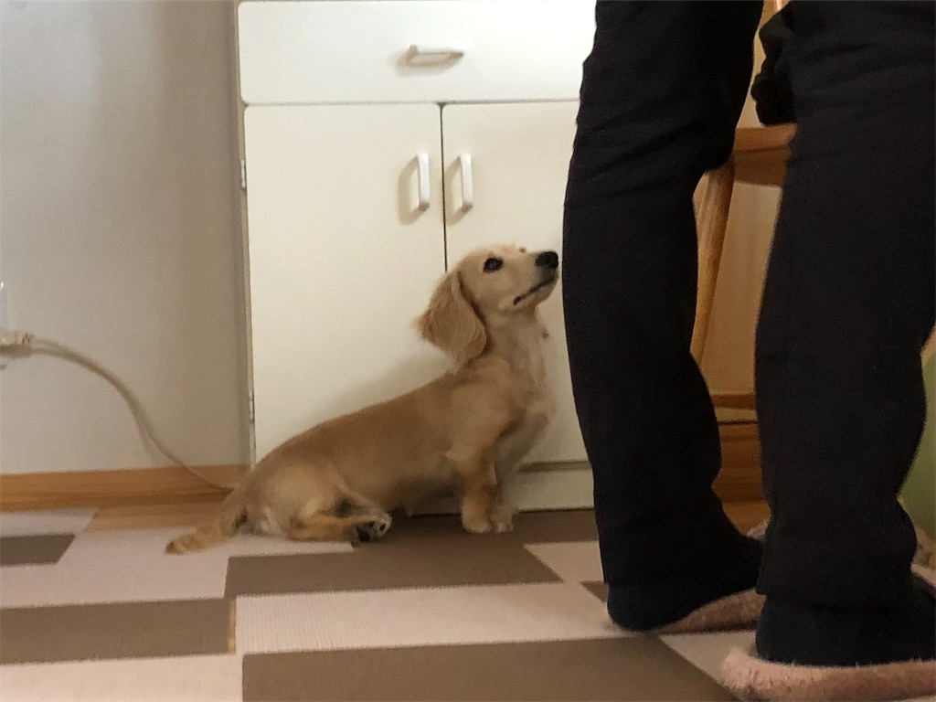 f:id:renkunno:20220120120419j:image