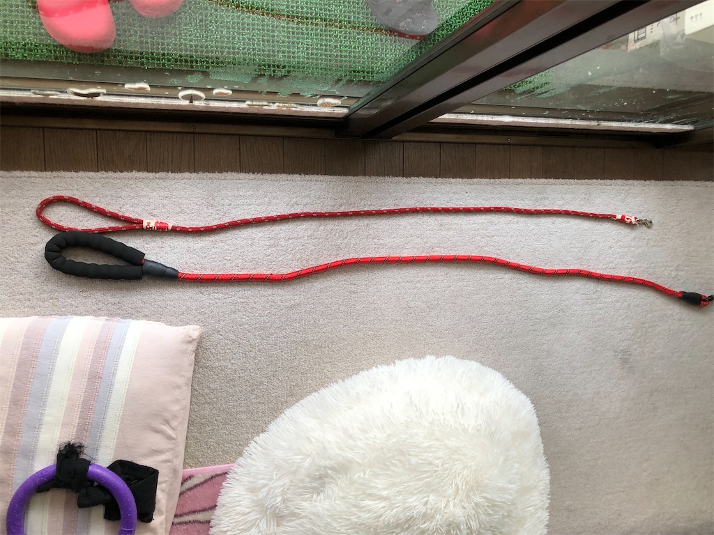 f:id:renkunno:20220125165955j:image f:id:renkunno:20220125165955j:image