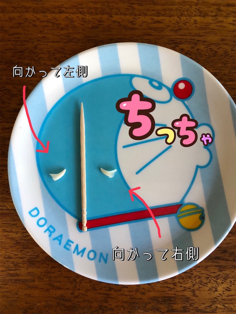 f:id:renkunno:20220128144723j:image f:id:renkunno:20220128144723j:image