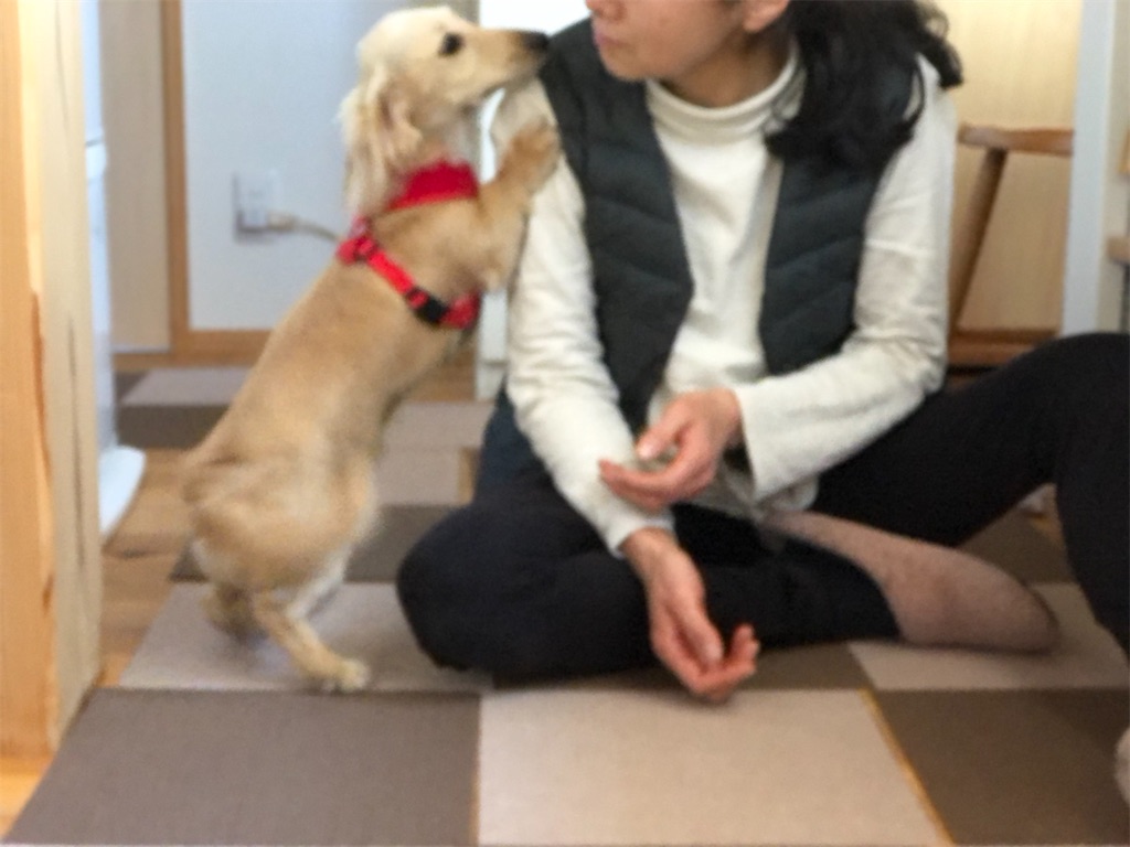 f:id:renkunno:20220214190209j:image f:id:renkunno:20220214190209j:image