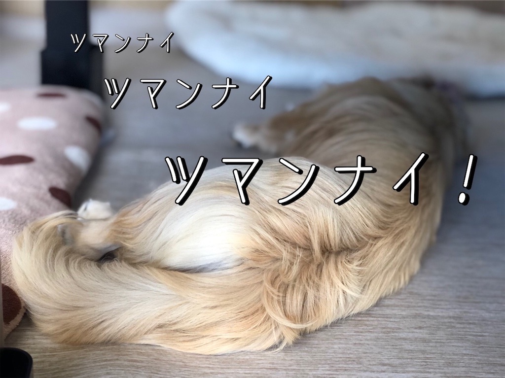 f:id:renkunno:20220430125653j:image