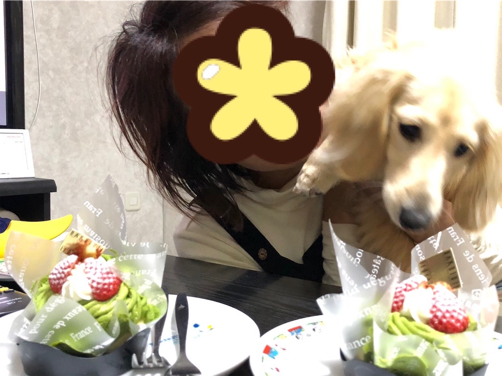 f:id:renkunno:20220507212534j:image f:id:renkunno:20220507212534j:image
