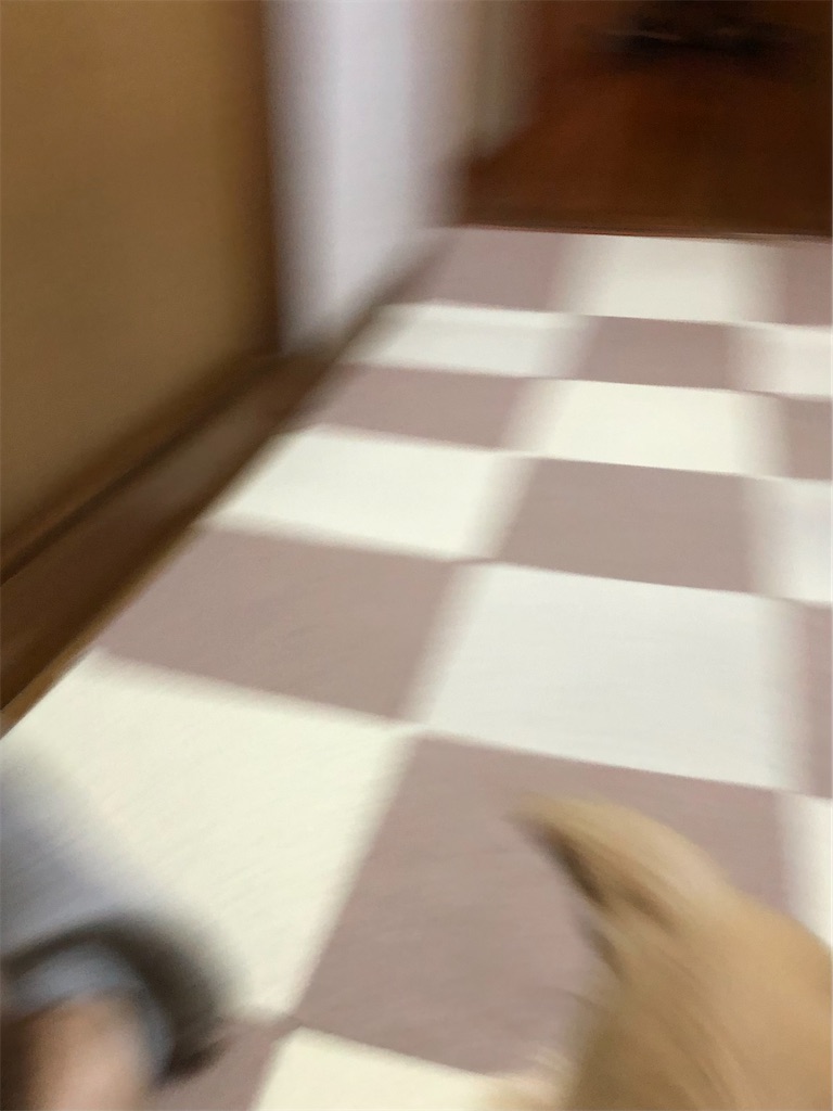 f:id:renkunno:20220511151716j:image f:id:renkunno:20220511151716j:image