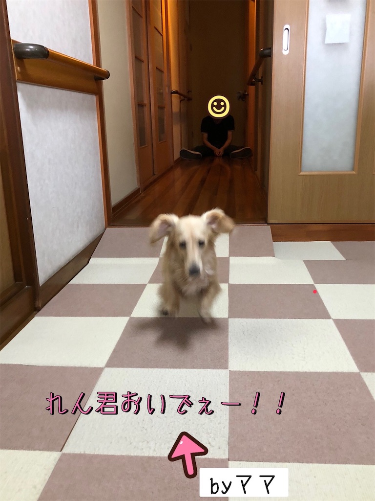 f:id:renkunno:20220511155754j:image f:id:renkunno:20220511155754j:image