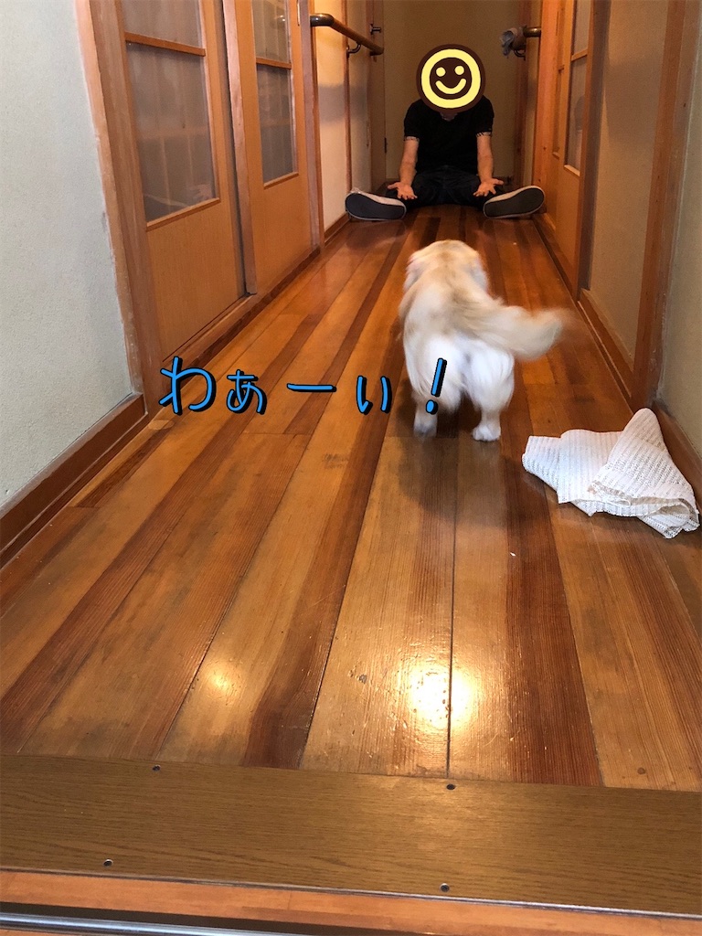 f:id:renkunno:20220511155757j:image f:id:renkunno:20220511155757j:image