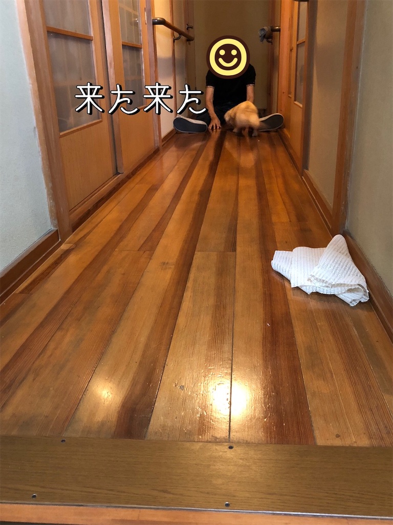 f:id:renkunno:20220511155800j:image f:id:renkunno:20220511155800j:image