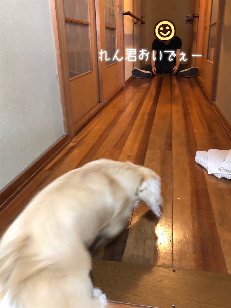 f:id:renkunno:20220511155808j:image f:id:renkunno:20220511155808j:image