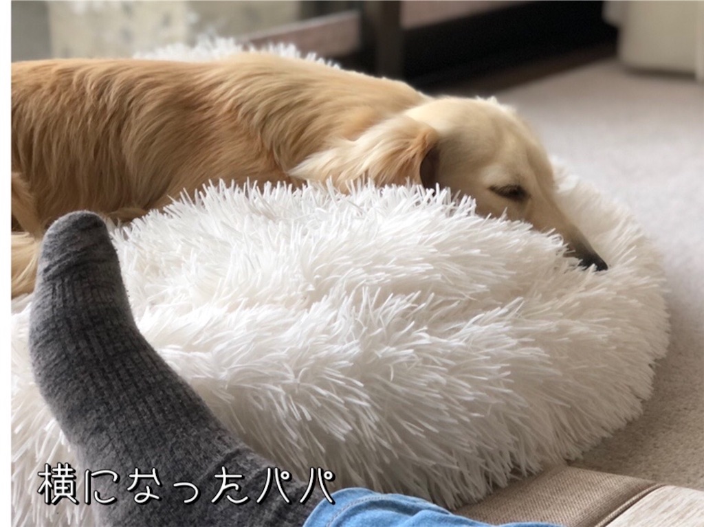 f:id:renkunno:20220520163720j:image f:id:renkunno:20220520163720j:image