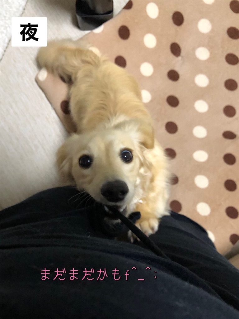 f:id:renkunno:20220524231051j:image