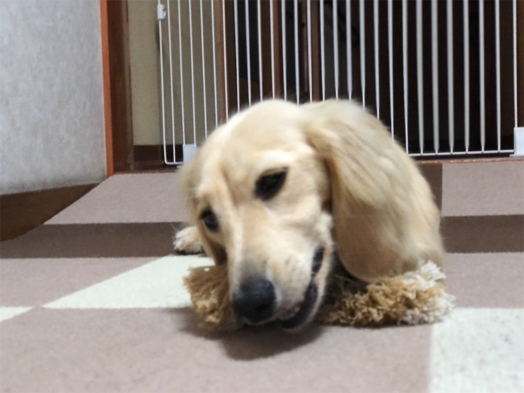 f:id:renkunno:20220530155133j:image f:id:renkunno:20220530155133j:image