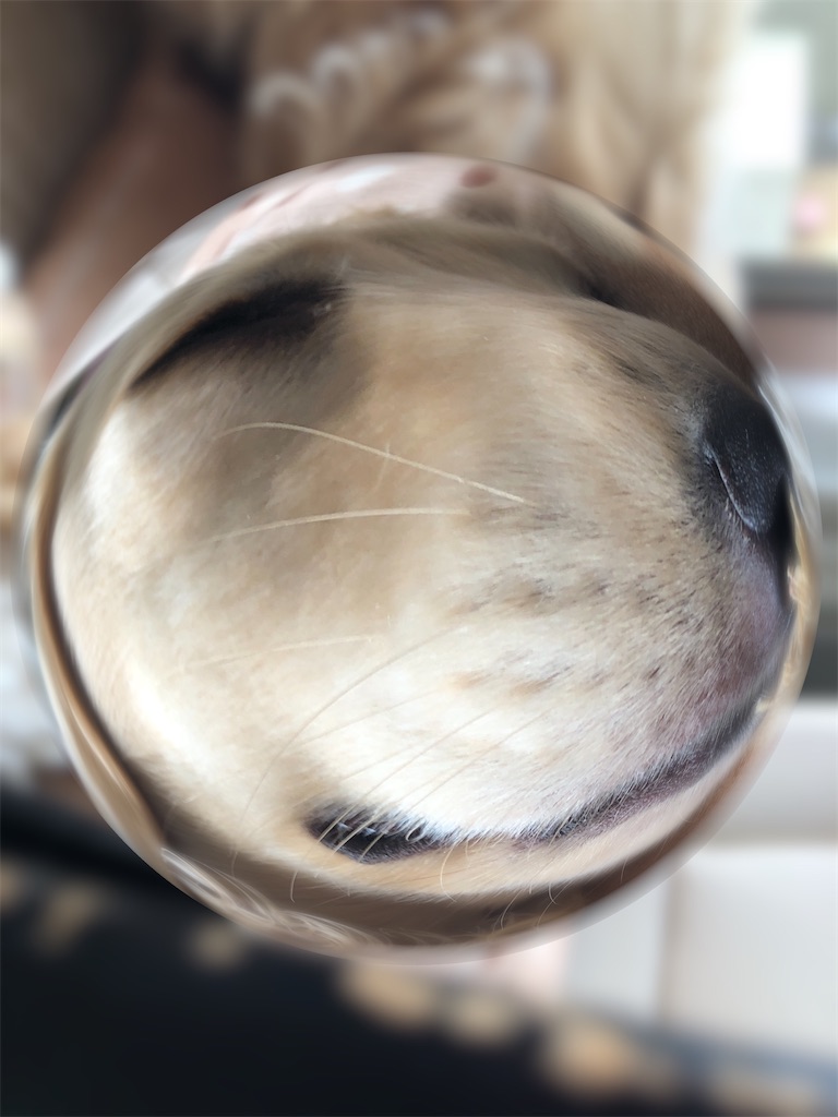 f:id:renkunno:20220530155305j:image f:id:renkunno:20220530155305j:image