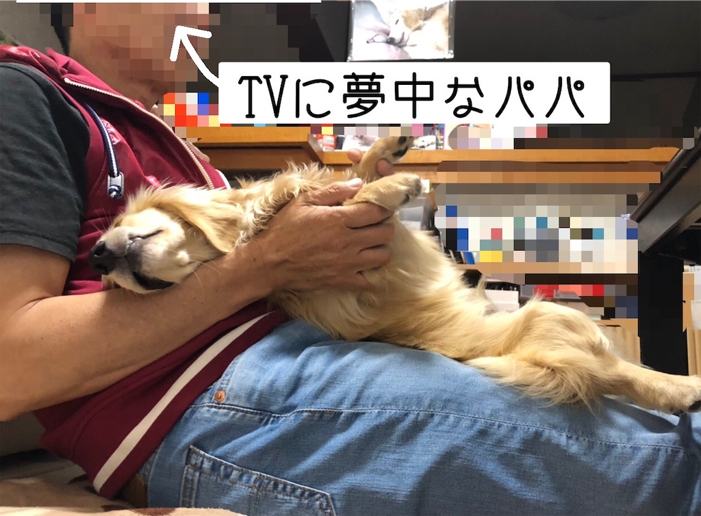 f:id:renkunno:20220607225949j:image f:id:renkunno:20220607225949j:image