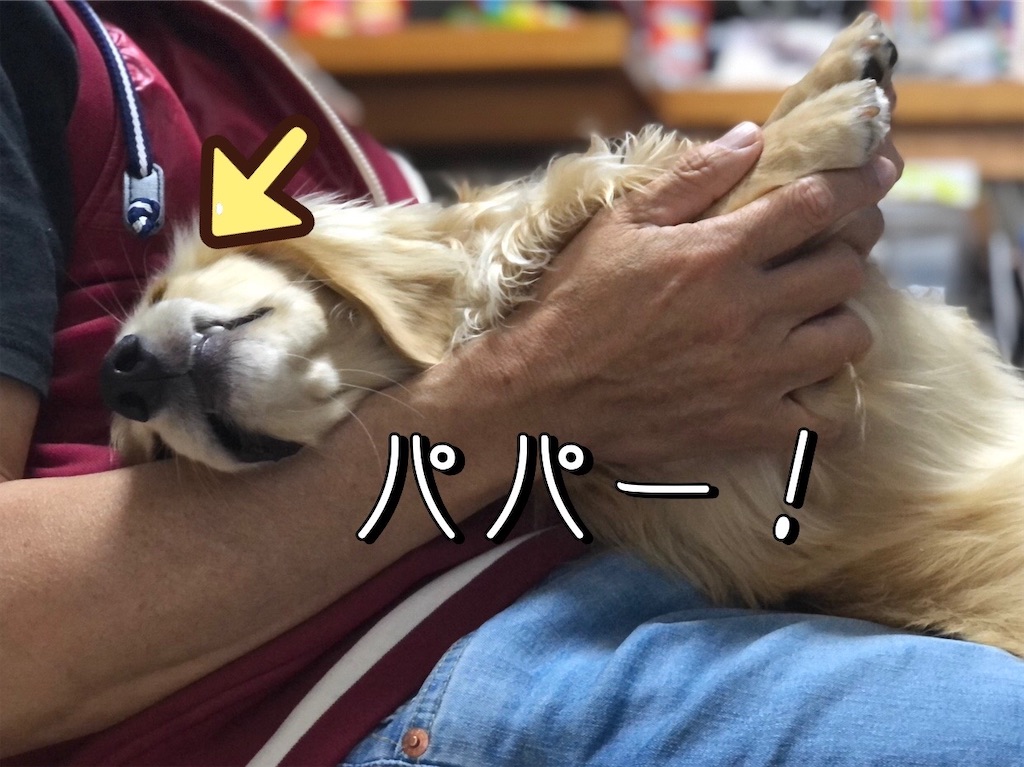 f:id:renkunno:20220607225955j:image f:id:renkunno:20220607225955j:image
