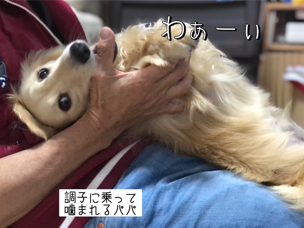 f:id:renkunno:20220607225959j:image f:id:renkunno:20220607225959j:image