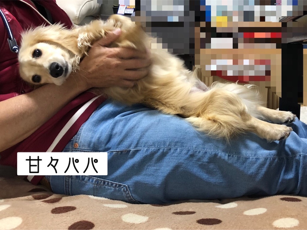 f:id:renkunno:20220607230012j:image f:id:renkunno:20220607230012j:image