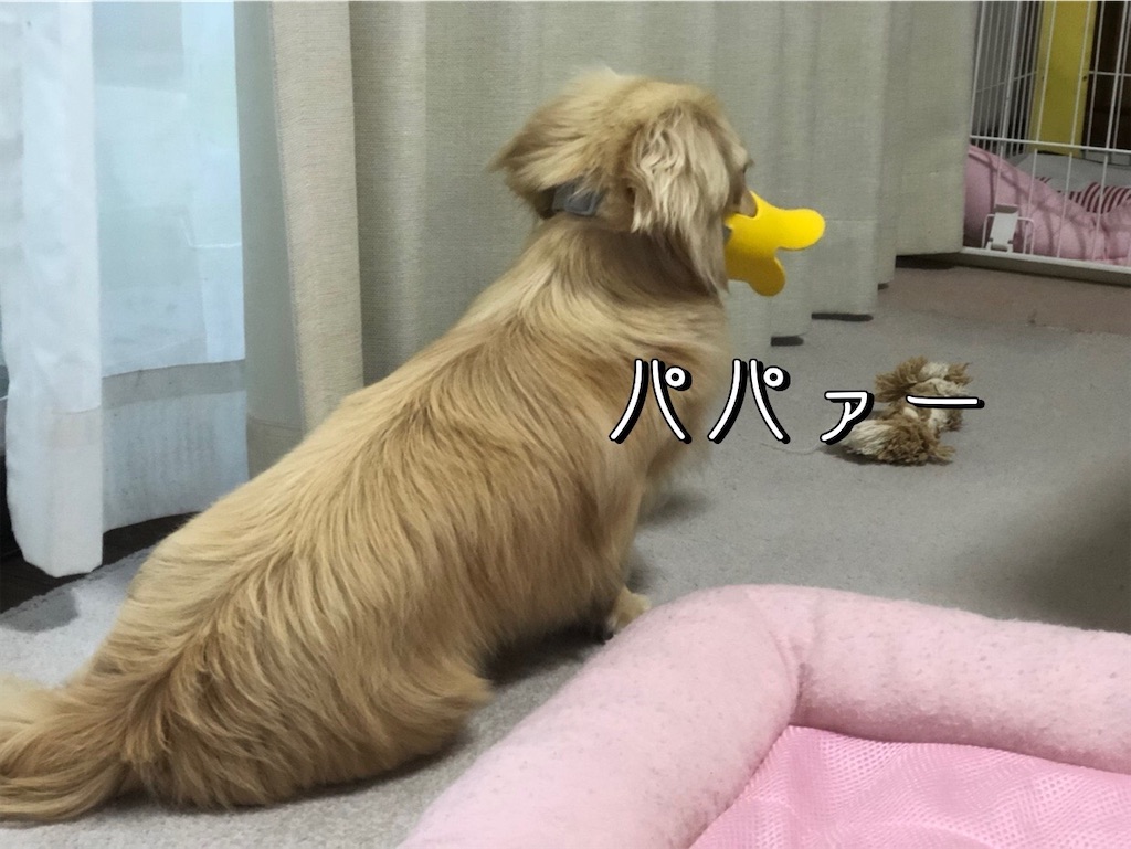 f:id:renkunno:20220607230015j:image f:id:renkunno:20220607230015j:image