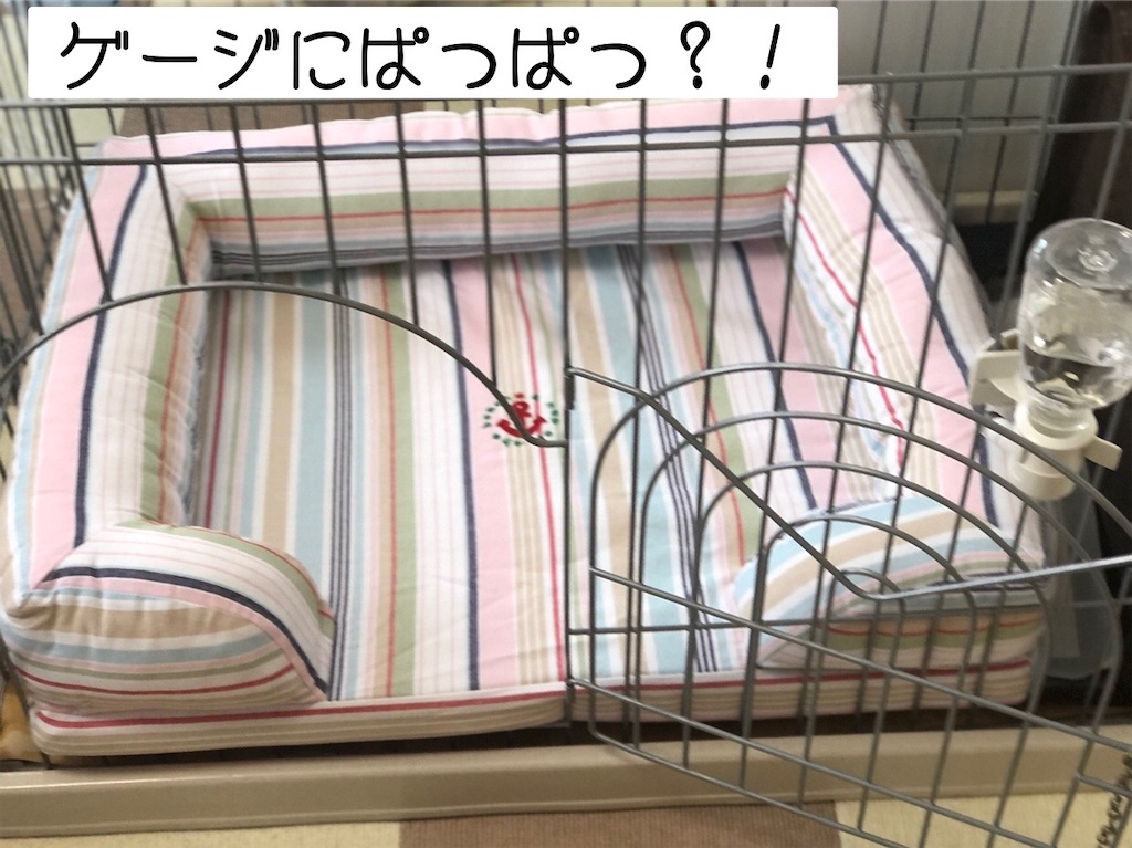 f:id:renkunno:20220608140025j:image