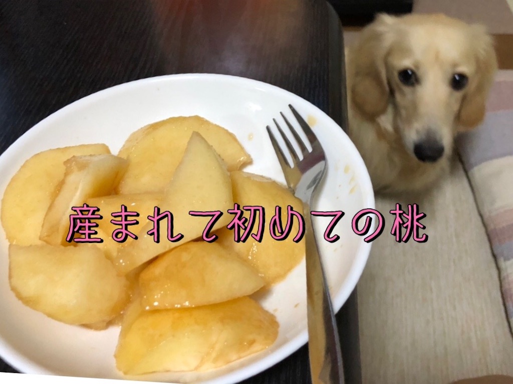 f:id:renkunno:20220704094106j:image f:id:renkunno:20220704094106j:image