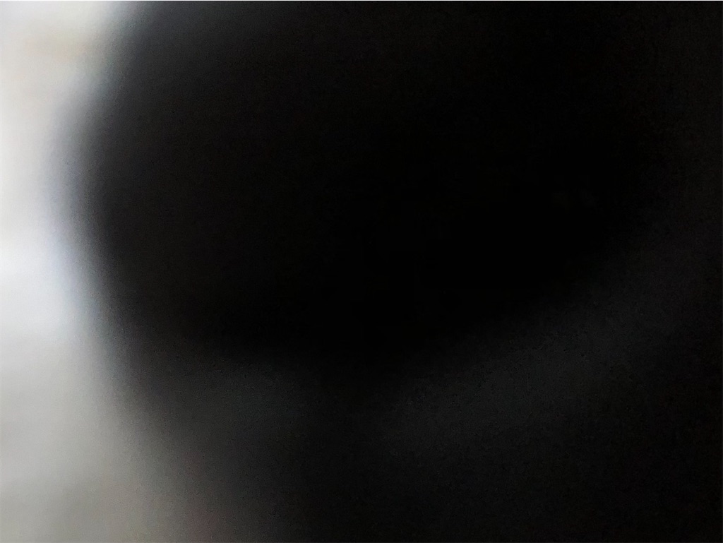 f:id:renkunno:20220704101505j:image f:id:renkunno:20220704101505j:image