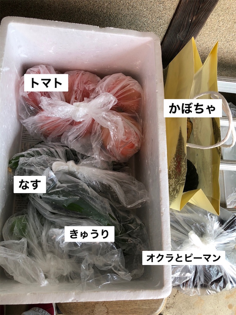 f:id:renkunno:20220704103839j:image f:id:renkunno:20220704103839j:image