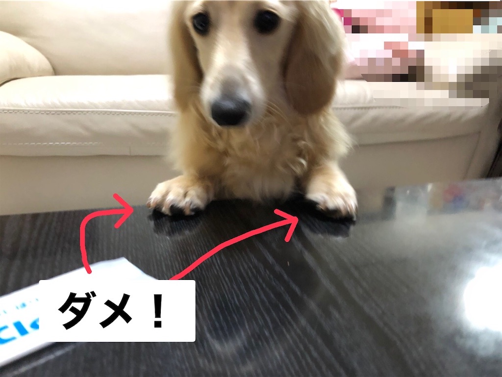 f:id:renkunno:20220704104559j:image f:id:renkunno:20220704104559j:image
