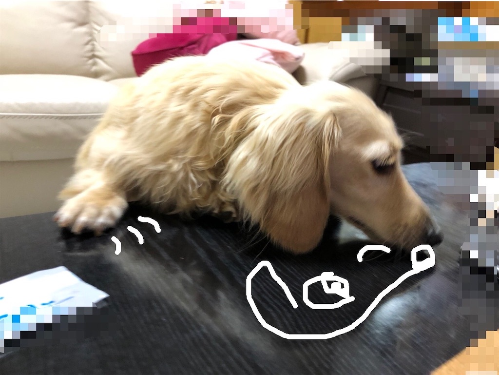 f:id:renkunno:20220704104602j:image f:id:renkunno:20220704104602j:image
