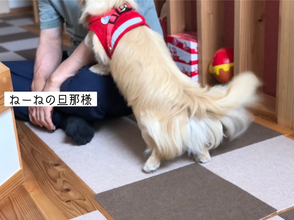 f:id:renkunno:20220704150108j:image f:id:renkunno:20220704150108j:image