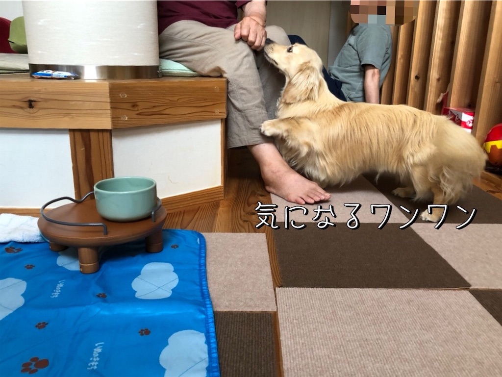 f:id:renkunno:20220704232212j:image f:id:renkunno:20220704232212j:image