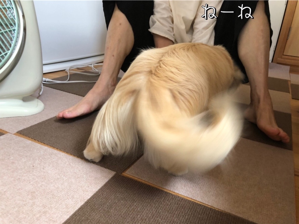 f:id:renkunno:20220714231607j:image f:id:renkunno:20220714231607j:image