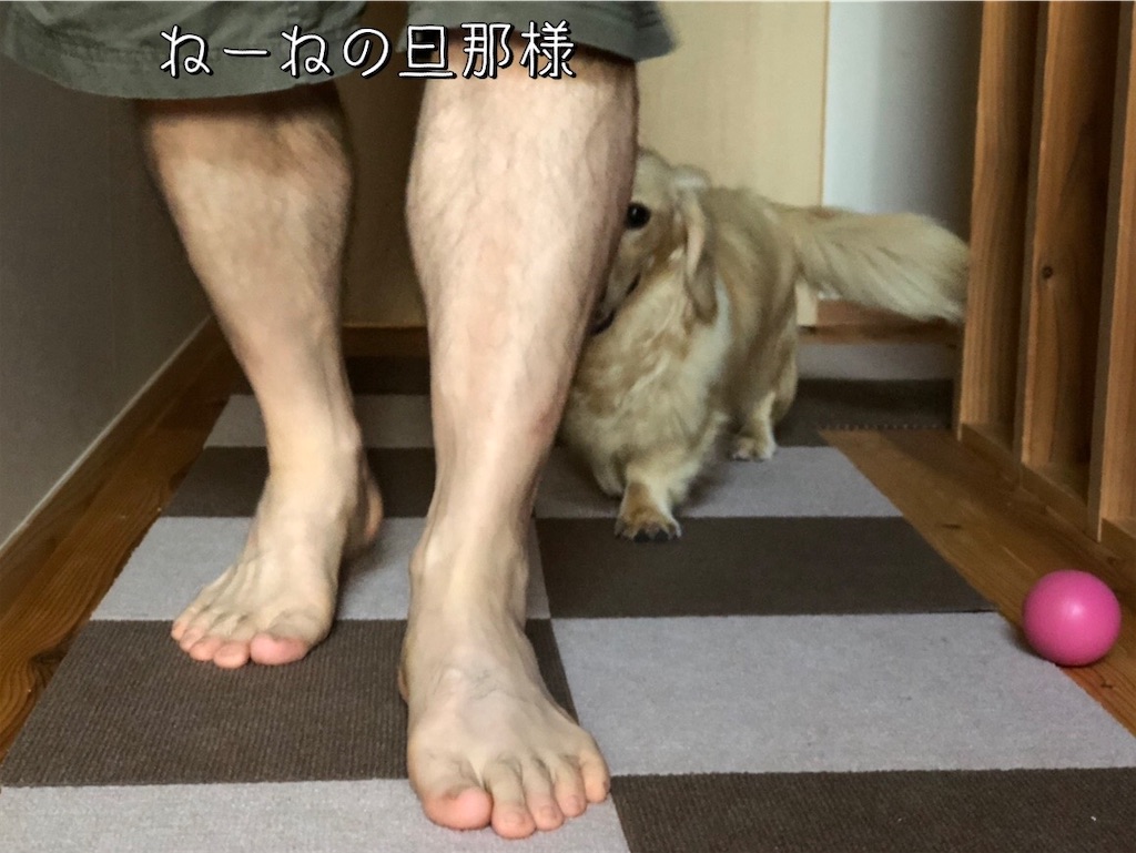 f:id:renkunno:20220714232653j:image f:id:renkunno:20220714232653j:image