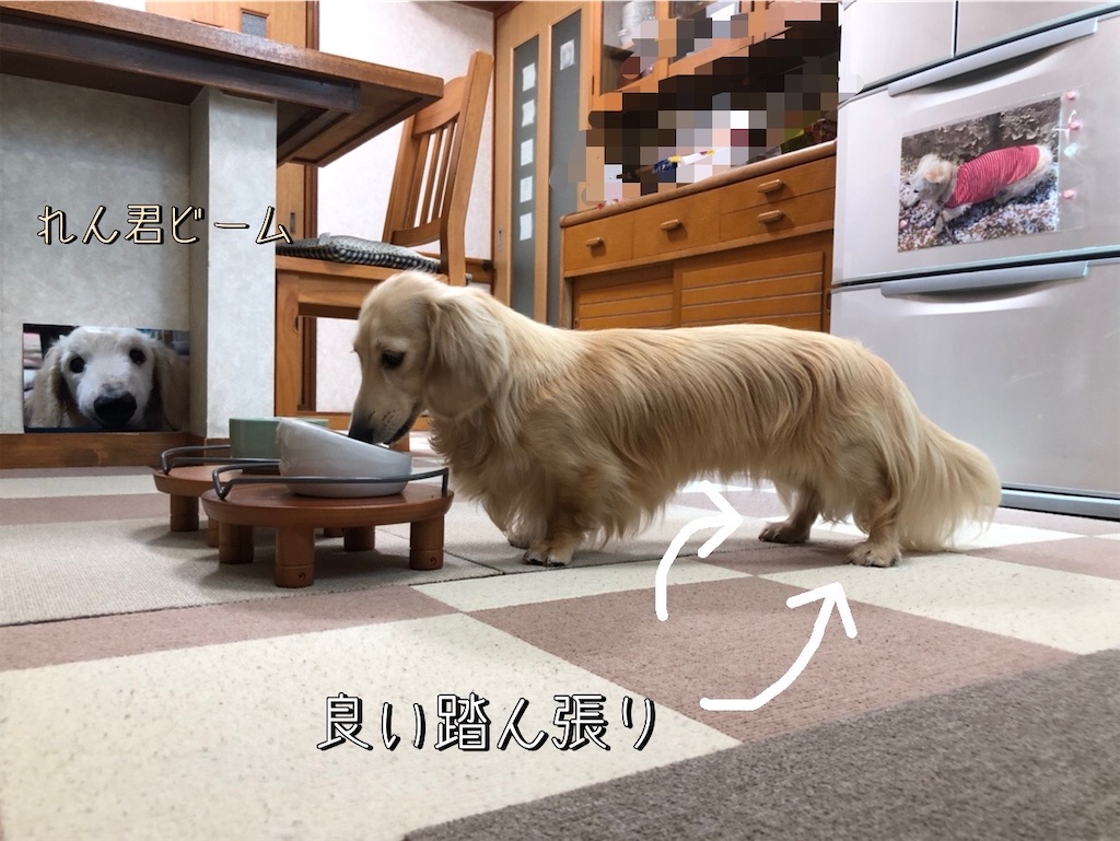 f:id:renkunno:20220801113810j:image f:id:renkunno:20220801113810j:image