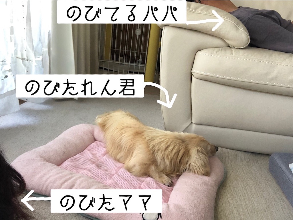 f:id:renkunno:20220802160129j:image