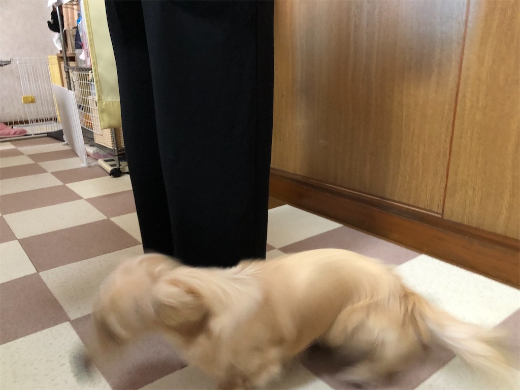 f:id:renkunno:20220809213643j:image f:id:renkunno:20220809213643j:image