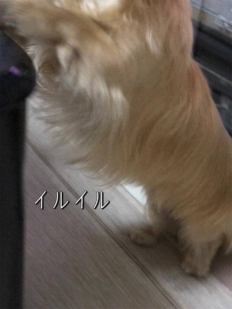f:id:renkunno:20220816210209j:image f:id:renkunno:20220816210209j:image