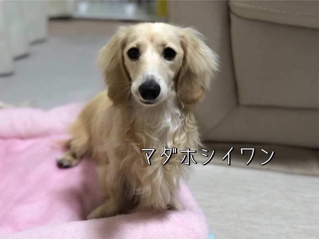 f:id:renkunno:20220817155006j:image f:id:renkunno:20220817155006j:image