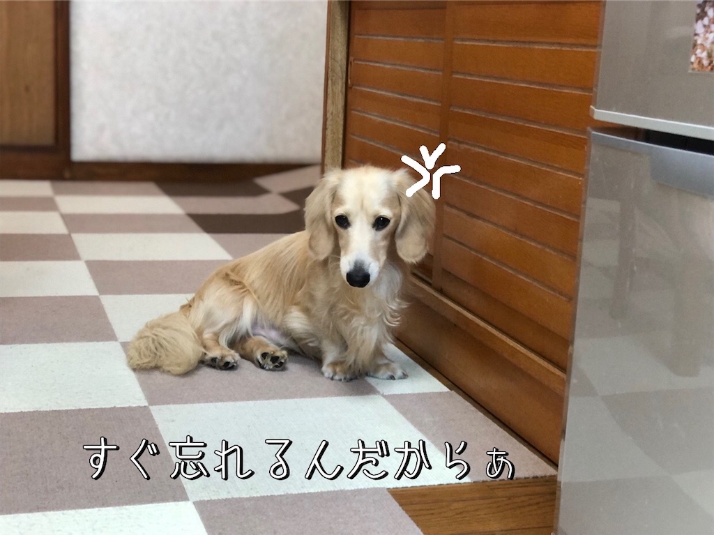 f:id:renkunno:20220829132256j:image