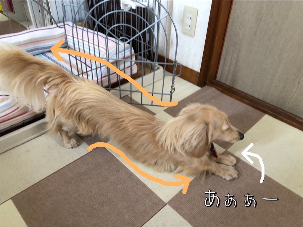 f:id:renkunno:20220829132321j:image