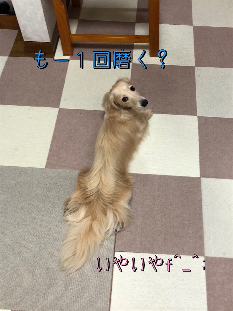 f:id:renkunno:20220903090115j:image