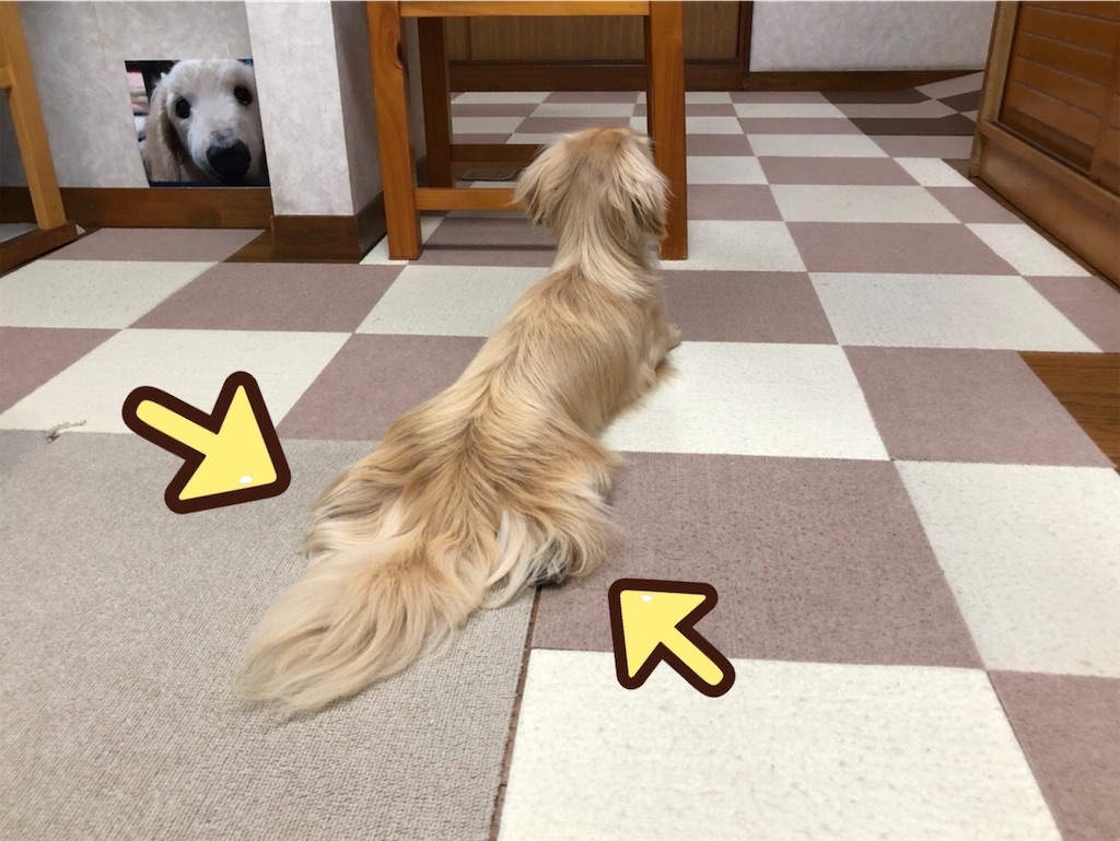 f:id:renkunno:20220903224325j:image f:id:renkunno:20220903224325j:image