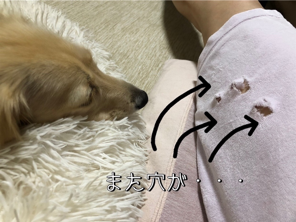 f:id:renkunno:20220907224330j:image