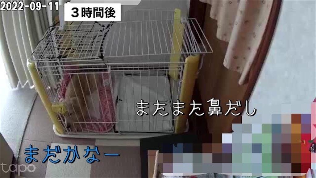f:id:renkunno:20220912093451j:image f:id:renkunno:20220912093451j:image