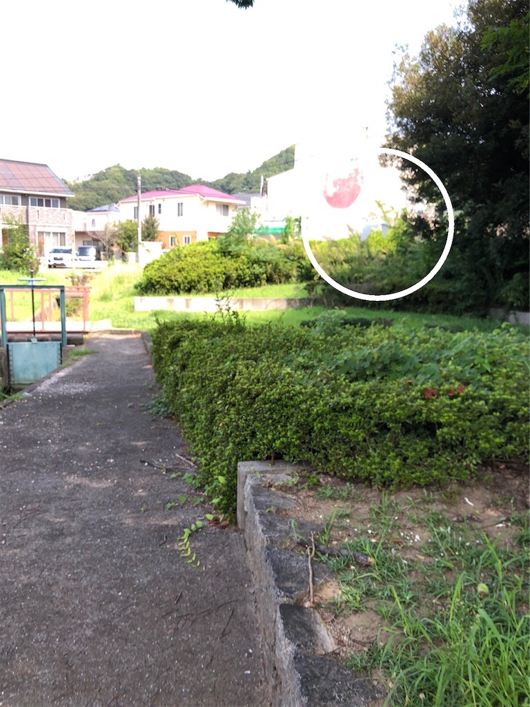 f:id:renkunno:20220914212842j:image f:id:renkunno:20220914212842j:image